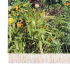 WTMZ-270　タブリーズ産マスロラハザーデ工房　118×74cm